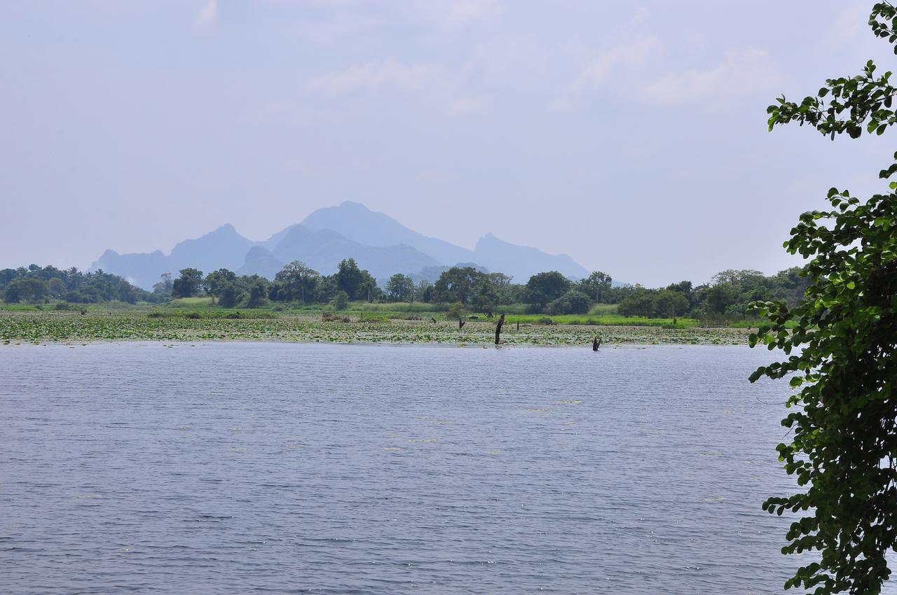 Organic Farm Wish Prabha Lake View Homestay Sigiriya Bagian luar foto