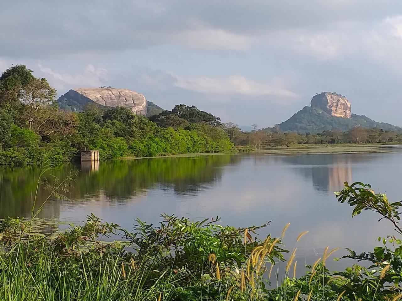 Organic Farm Wish Prabha Lake View Homestay Sigiriya Bagian luar foto