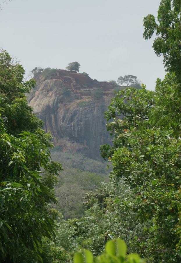 Organic Farm Wish Prabha Lake View Homestay Sigiriya Bagian luar foto